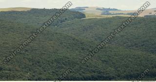 Forests 0008